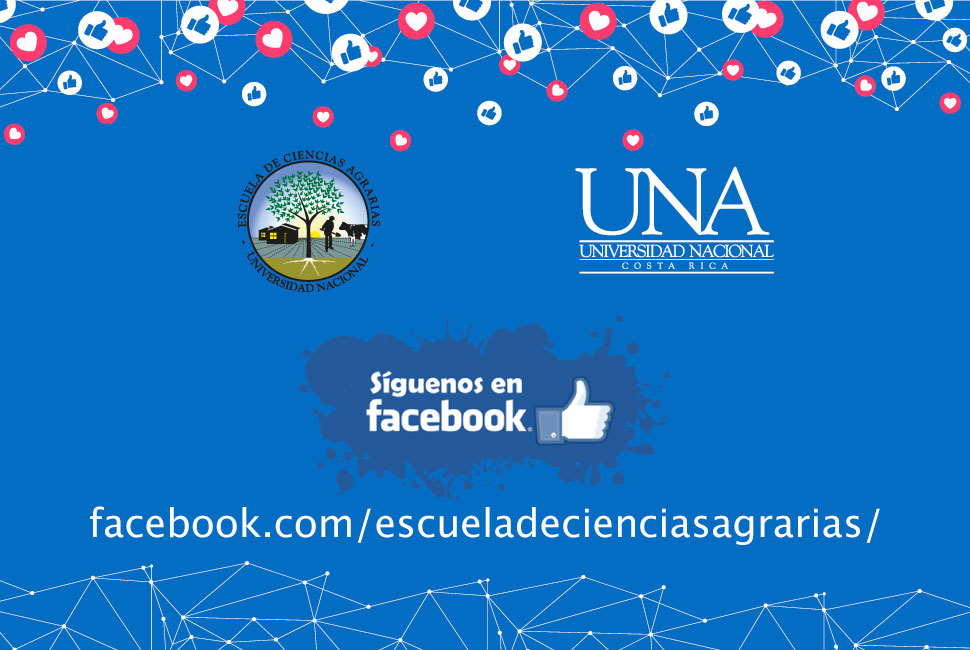 Síguenos en Facebook